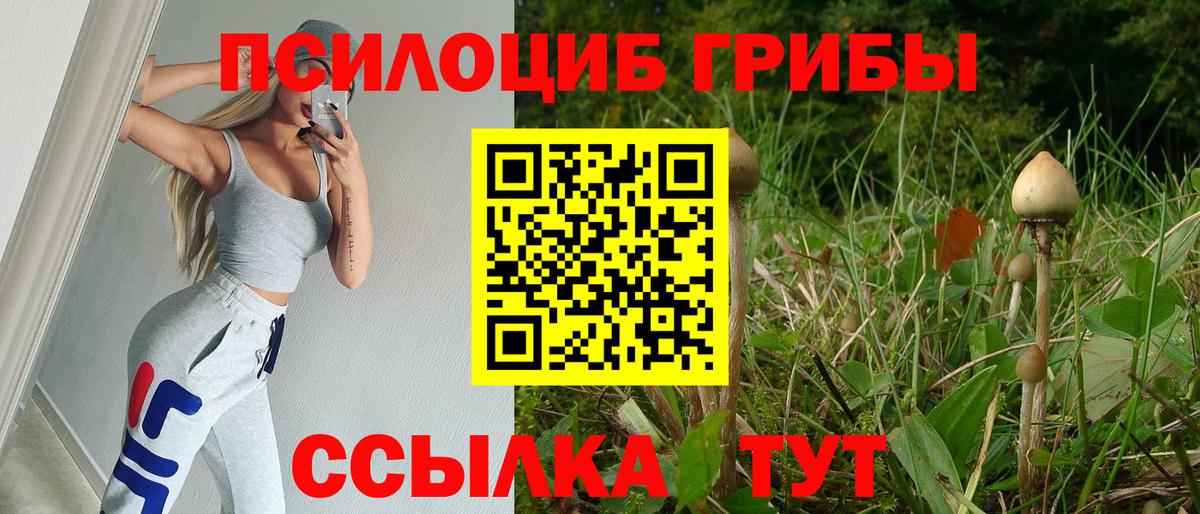 Псилоцибиновые грибы мицелий  Вход с VPN  Курган  Псилоцибиновые грибы мухоморы 
