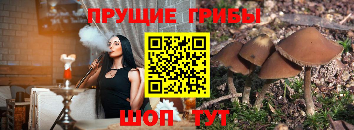 Галлюциногенные грибы мицелий Курган